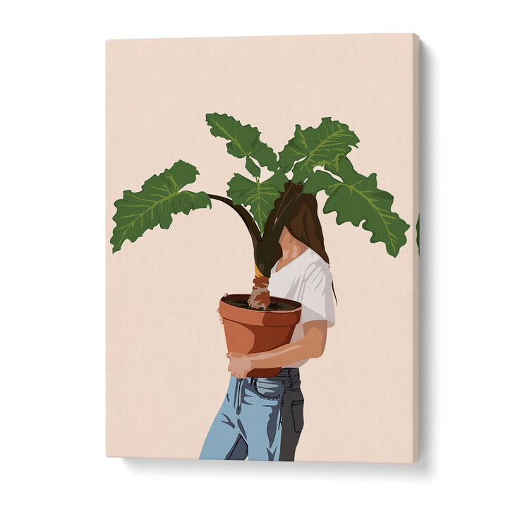VASE PLANT