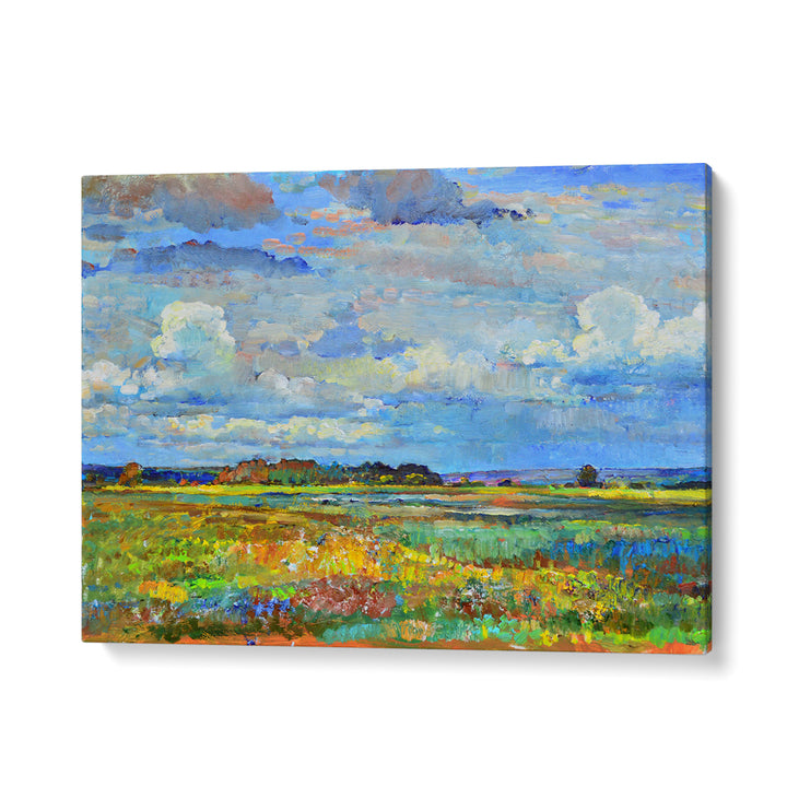 VIBRANT SKY OVER FIELDS