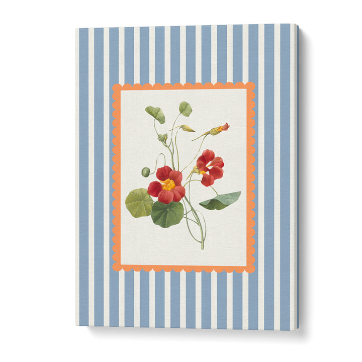 VINTAGE NASTURTIUM BLOOM
