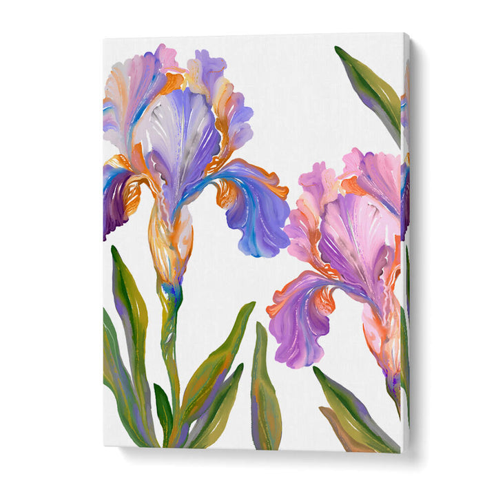 WATERCOLOR IRIS , FLORAL FLOWER PAINTINGS