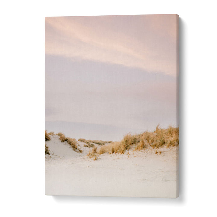 AMELAND DUNES III , PHOTOGRAPHY PRINTS
