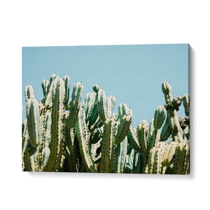 SOUTH OF SPAIN BY RAISA ZWART , LANDSCAPE PHOTO PRINTS