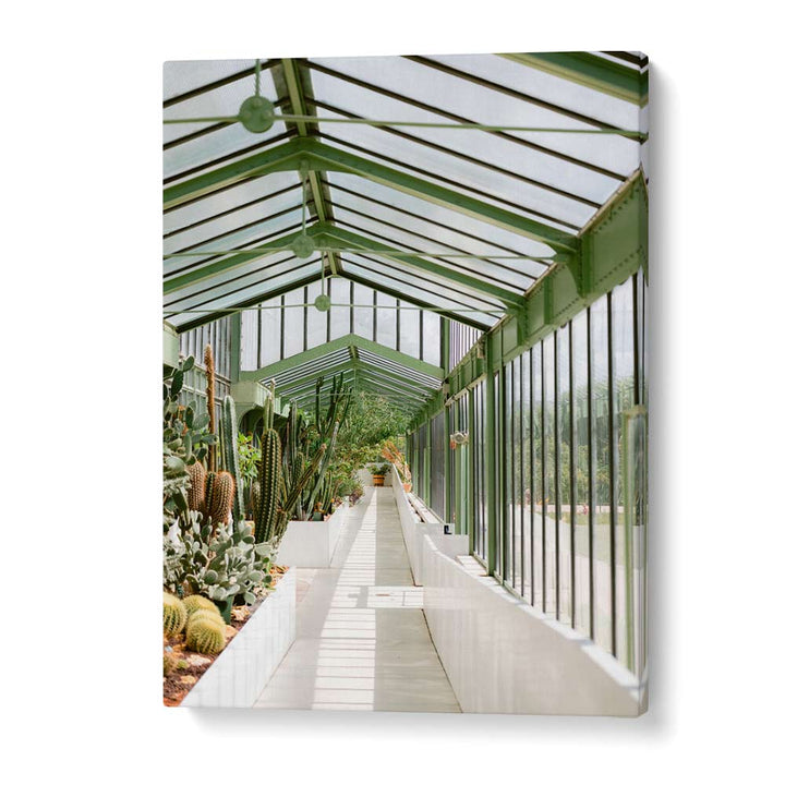 BOTANICAL GARDEN OF PARIS BY RAISA ZWART , LANDSCAPE PHOTO PRINTS