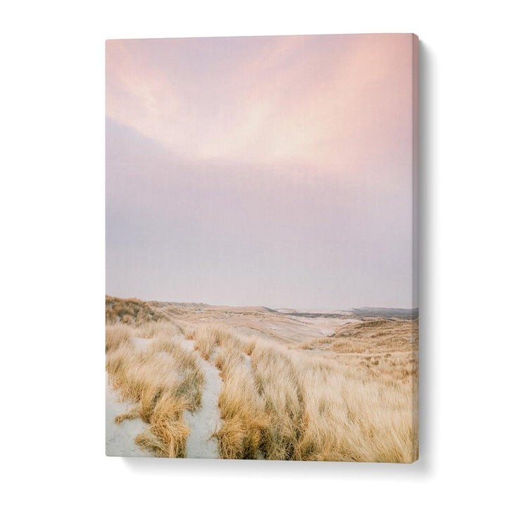 AMELAND DUNES I , PHOTOGRAPHY PRINTS