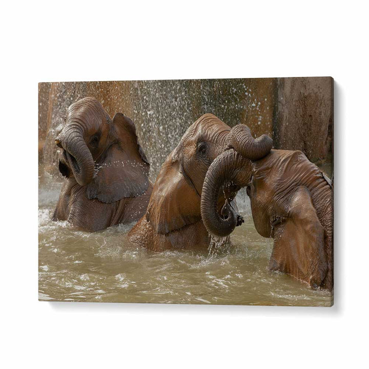 BATH TIME PLAY BY MARC PELISSIER , LANDSCAPE PHOTO PRINTS