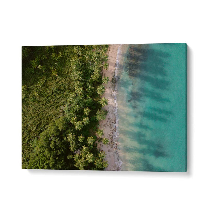 GREEN BEACH FROM ABOVE II BY RAISA ZWART , LANDSCAPE PHOTO PRINTS