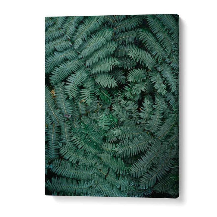 GREEN LEAVES , PHOTOGRAPHY PRINTS