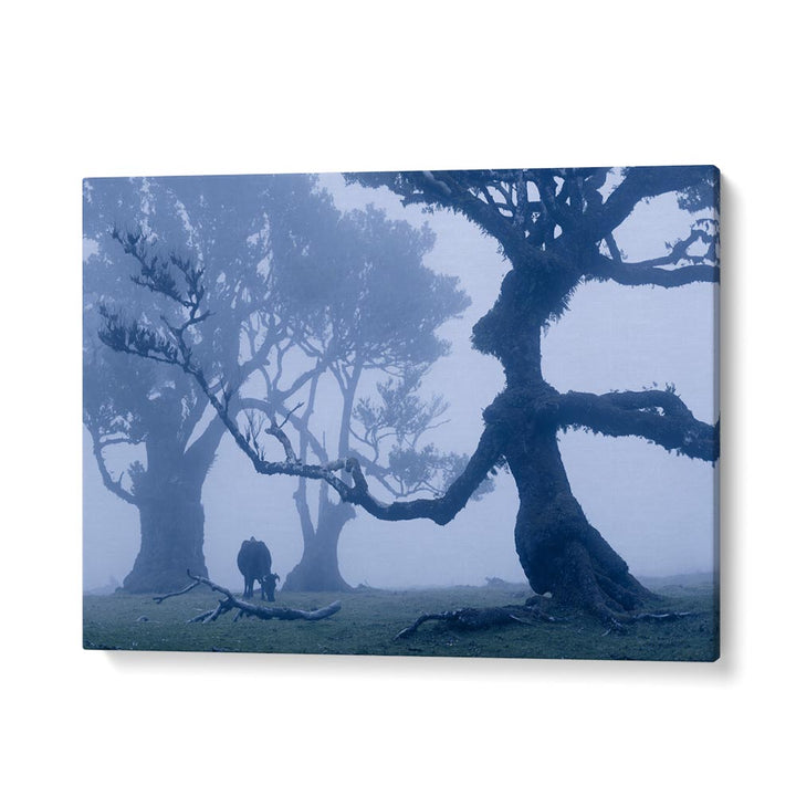 BLUE ENT , LANDSCAPE PHOTO PRINTS , LANDSCAPE PHOTOGRAPHY