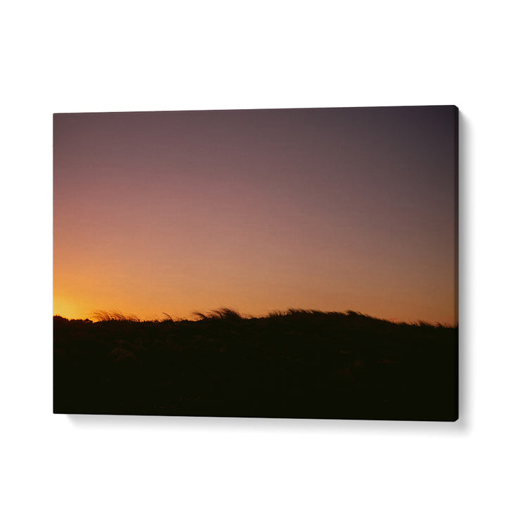 DUNE GRASS SUNSET HORIZONTAL , LANDSCAPE PHOTO PRINTS