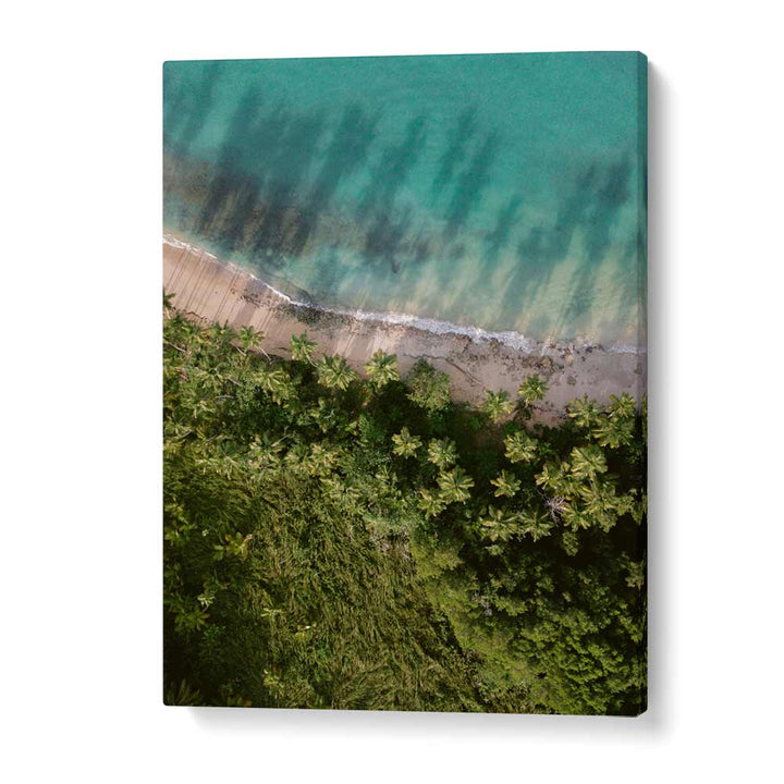 PALM BEACH FROM ABOVE  BY RAISA ZWART , LANDSCAPE PHOTO PRINTS