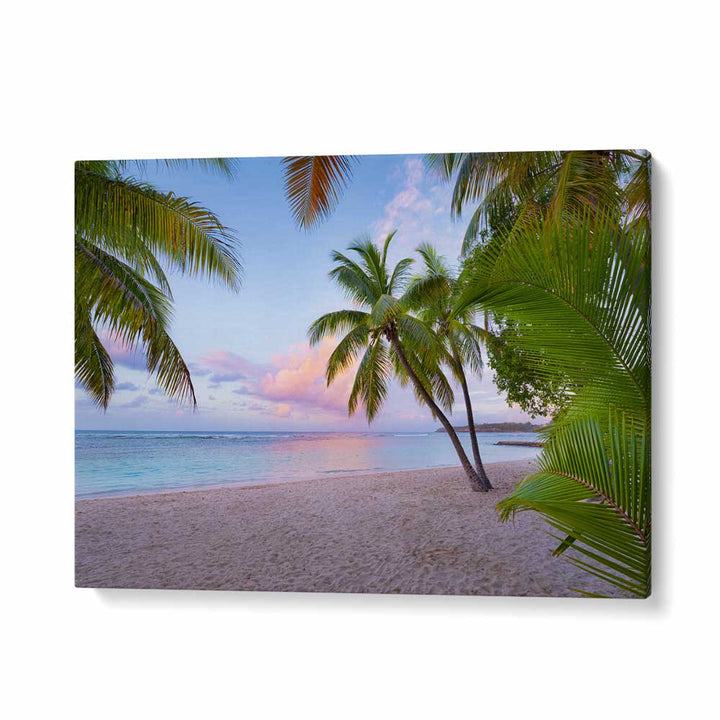 TROPICAL BEACH BY STEFAN HEFELE , LANDSCAPE PHOTO PRINTS