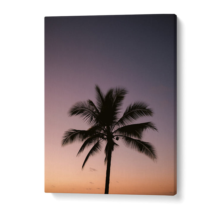 COSTA RICA PALM TREE BY RAISA ZWART , LANDSCAPE PHOTO PRINTS