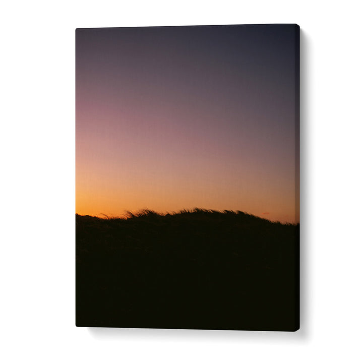 DUNE GRASS SUNSET BY RAISA ZWART , LANDSCAPE PHOTO PRINTS