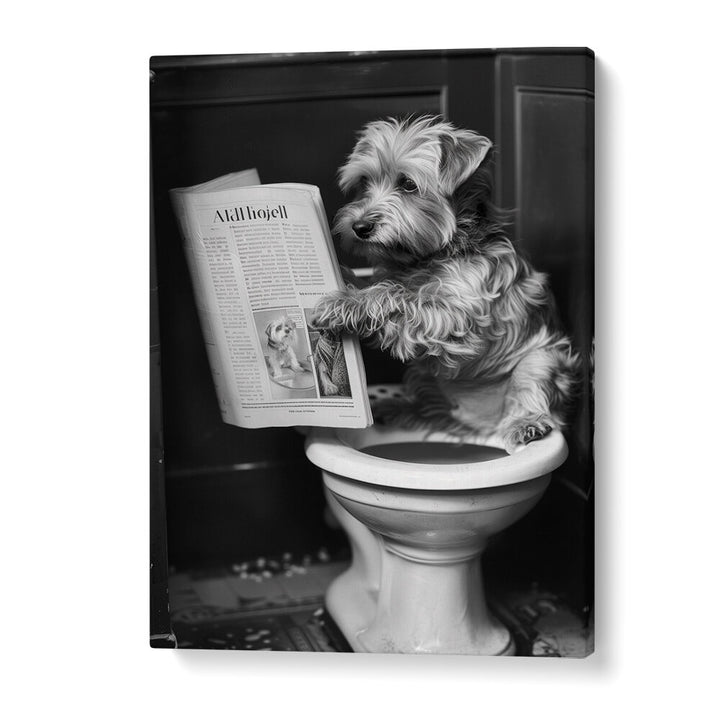 DOGGY DOING A DOO DOO