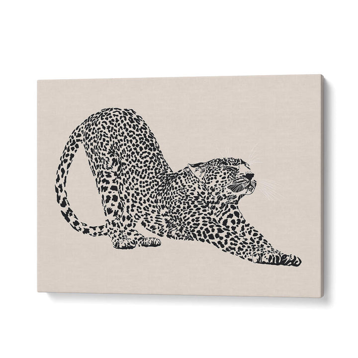 CHEETAH , ANIMAL PAINTINGS