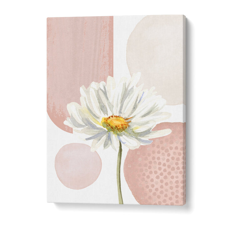 DAISY PINKS I ,BOHO ART PAINTINGS