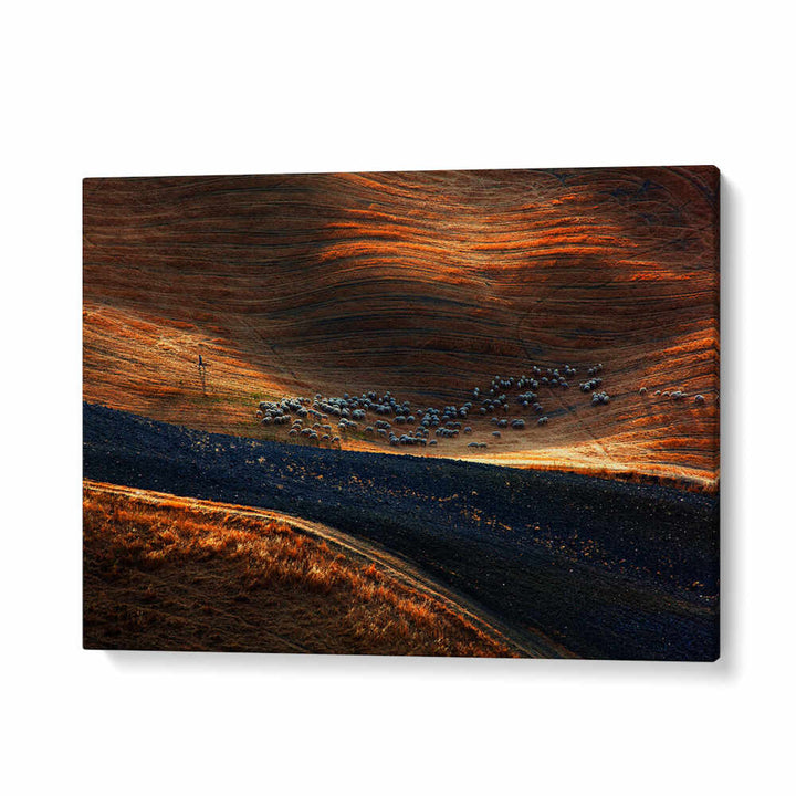 IL GREGGE , PHOTOGRAPHY PRINTS