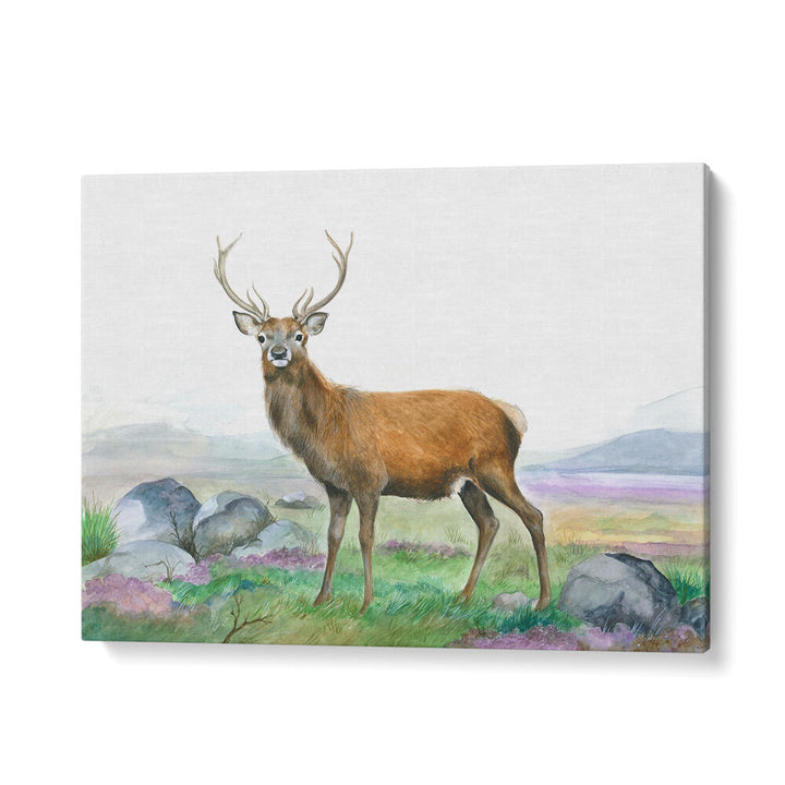 MORELAND STAG , ANIMAL PAINTINGS