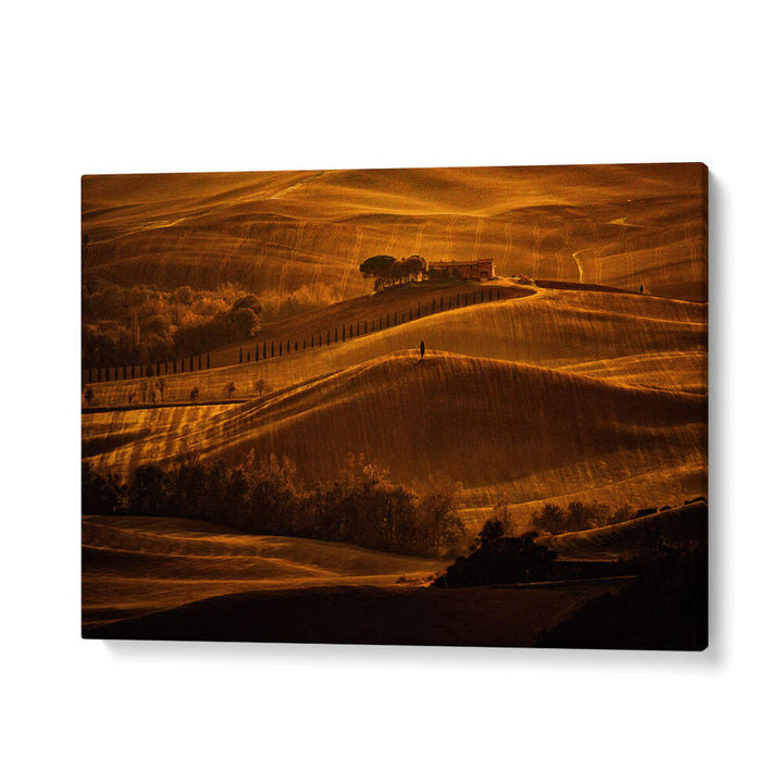 IL CIPRESSO , PHOTOGRAPHY PRINTS