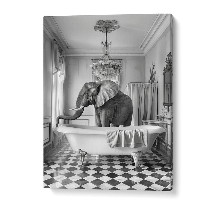 A BATHROOM OCCUPIED