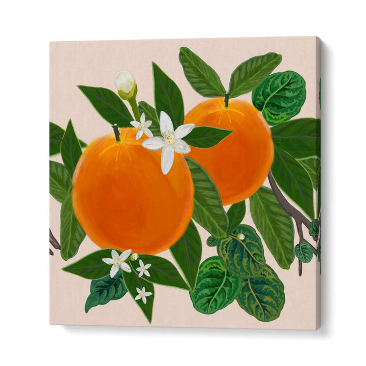 ORANGES , KITCHEN POSTERS