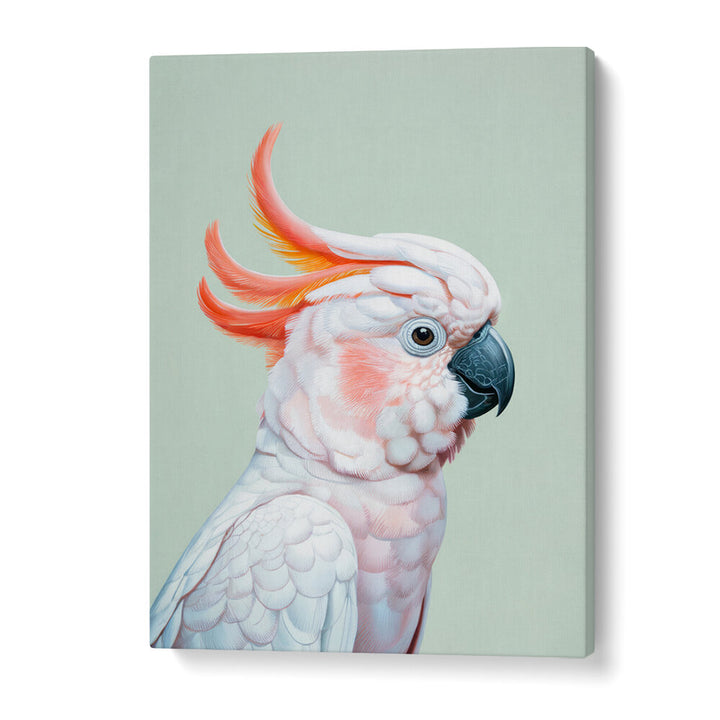 WHITE COCKATOO NO 1