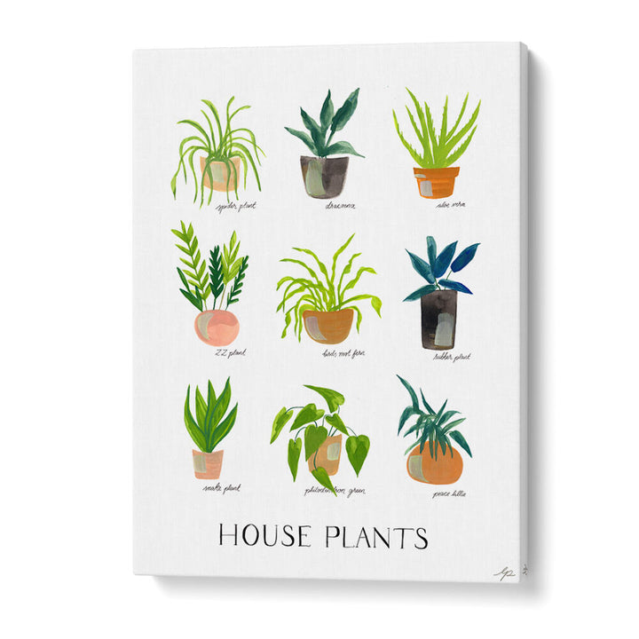 HOUSEPLANTS , FLORAL FLOWER PAINTINGS