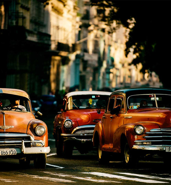 GINA BULIGA - PHOTOGRAPHER