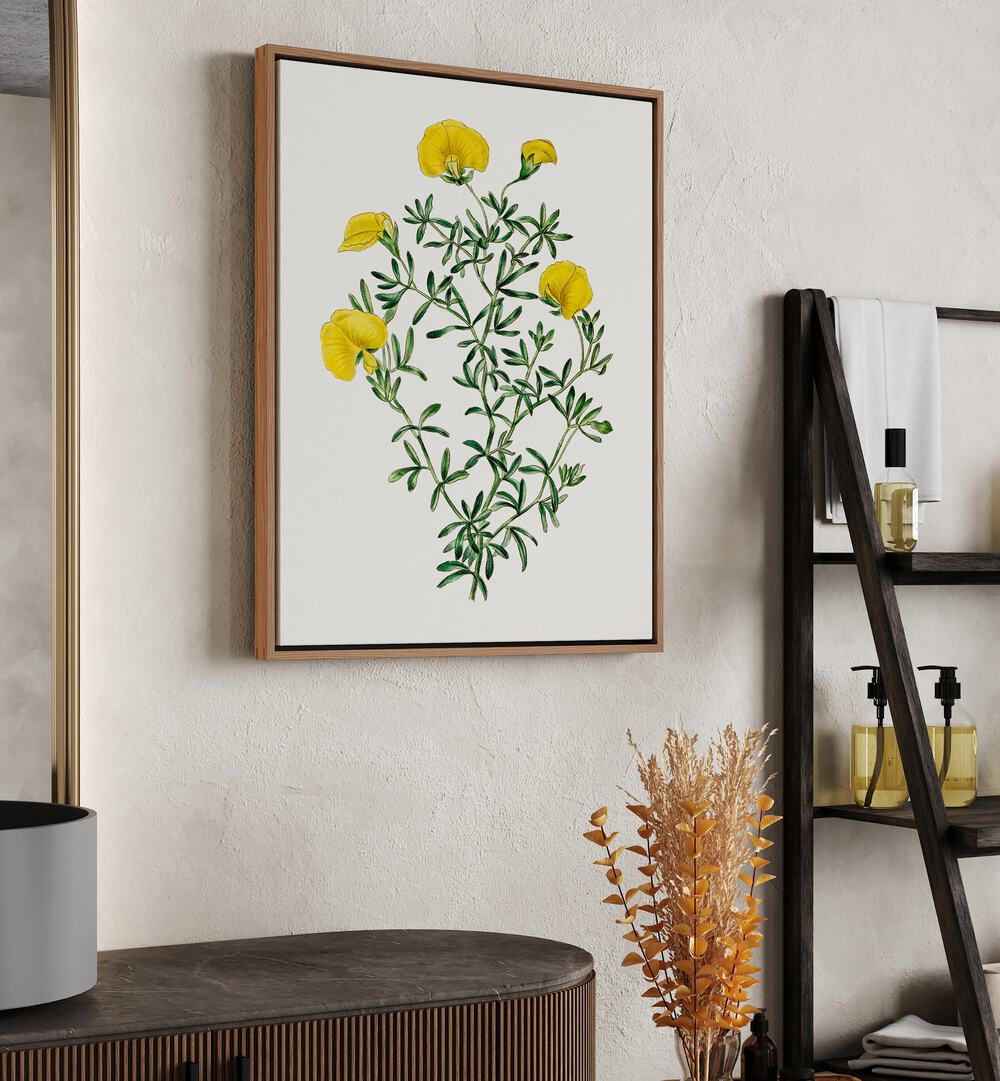 Gompholobium Flower Botanical Flower Paintings Artwork Placed on a wall