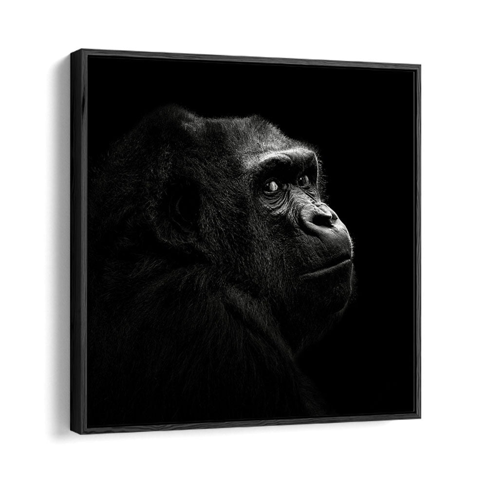 GORILLA I WILDLIFE PHOTOGRAPHY in Black Floater Frame