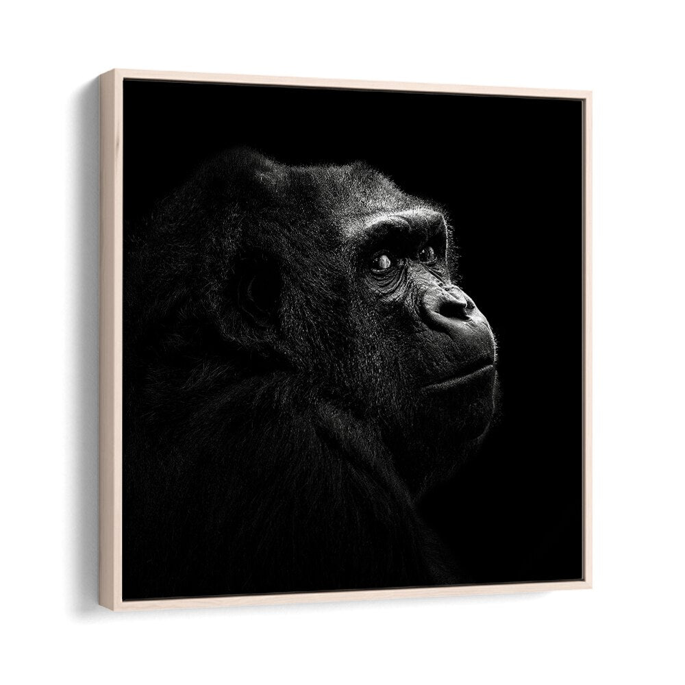 GORILLA I WILDLIFE PHOTOGRAPHY in Oak Wood Floater Frame