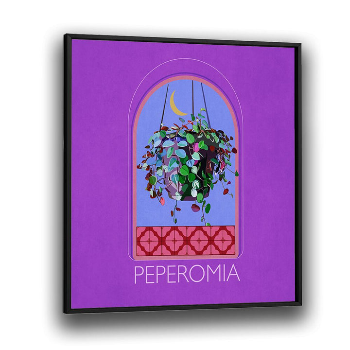 Green Sets Peperomia   Botanical Flower Paintings Artwork  in Black Plain Frame