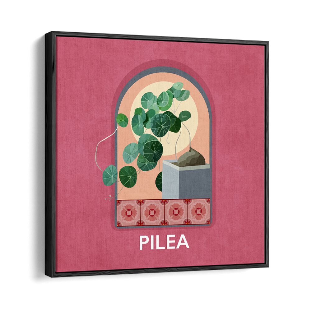 Green Sets Pilea Botanical Flower Paintings Artwork  in Black Floater Frame