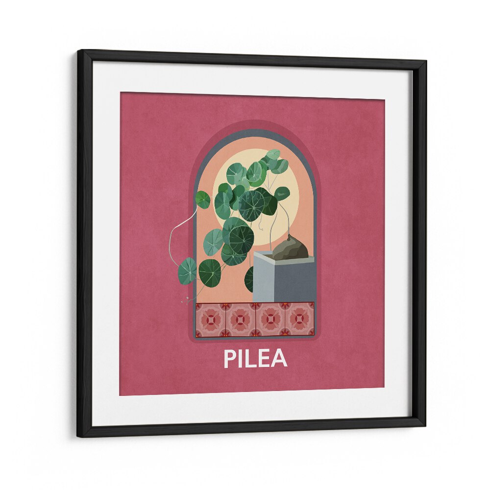 Green Sets Pilea Botanical Flower Paintings Artwork  in Black Frame With Mount