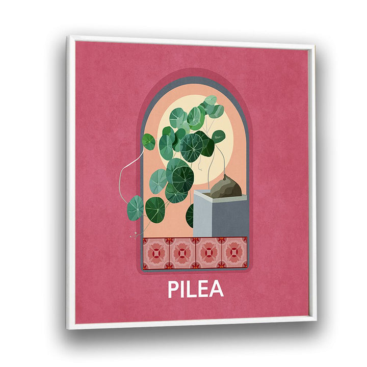 Green Sets Pilea Botanical Flower Paintings Artwork  in White Plain Frame