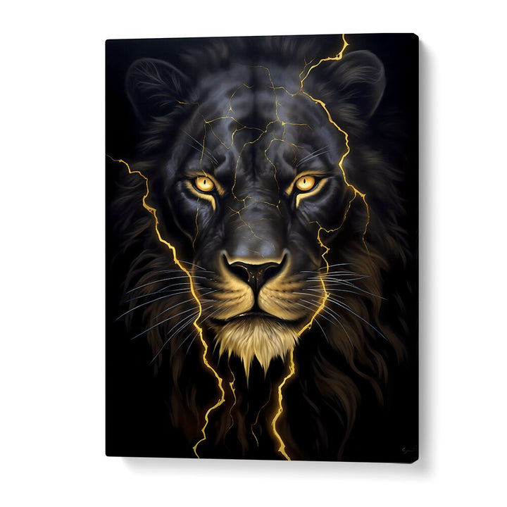 Golden Lion Wildlife Posters in Gallery Wrap