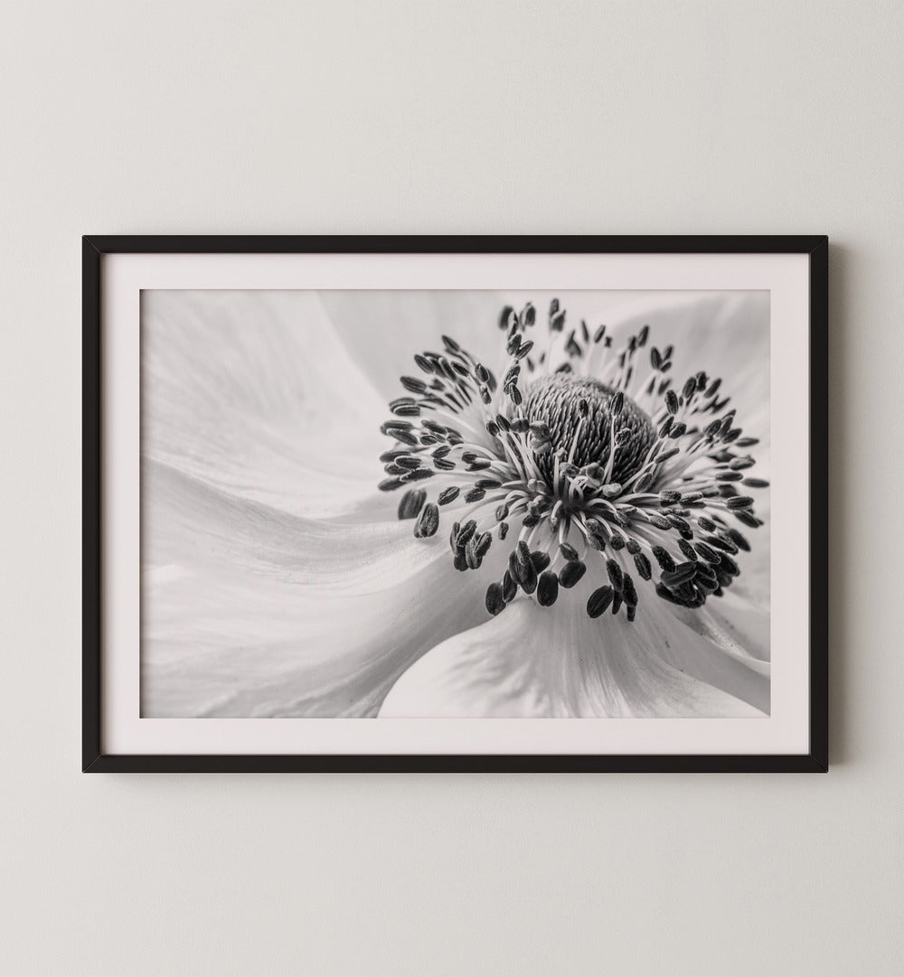 Elegant black and white flower print from the GOLDEN HOUR GALLERY WALL, perfect for stylish gallery walls.