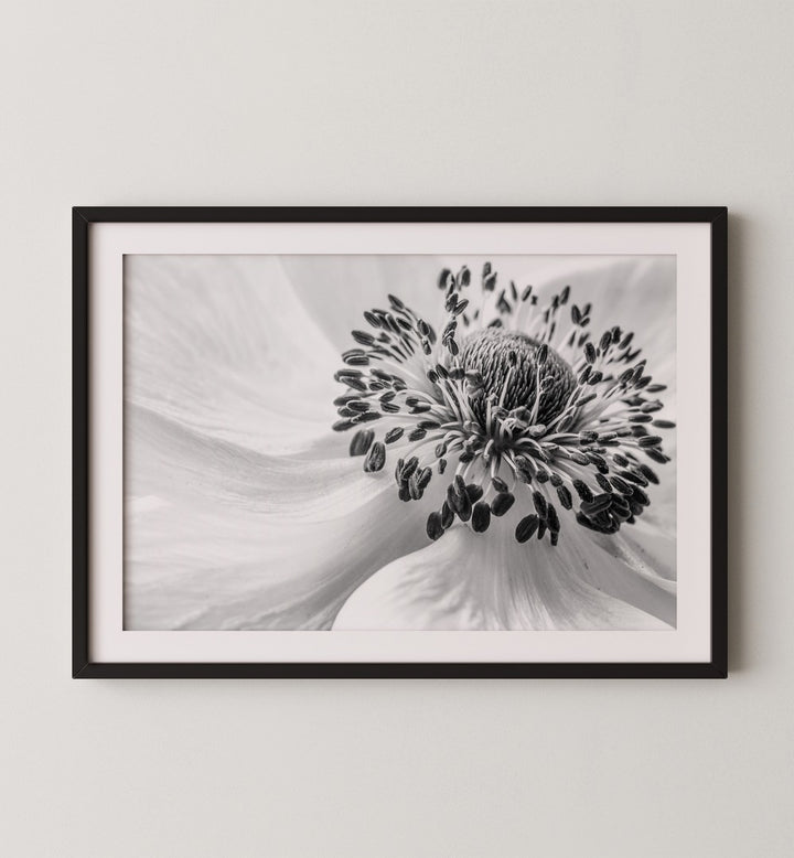 Elegant black and white flower print from the GOLDEN HOUR GALLERY WALL, perfect for stylish gallery walls.