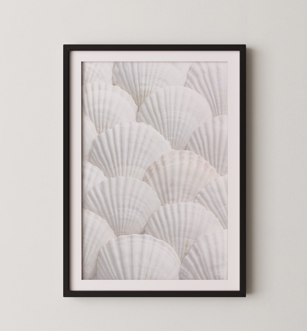 Elegant design featuring seashells, perfect for a GOLDEN HOUR GALLERY WALL, enhancing any GALLERY WALLS & SETS.