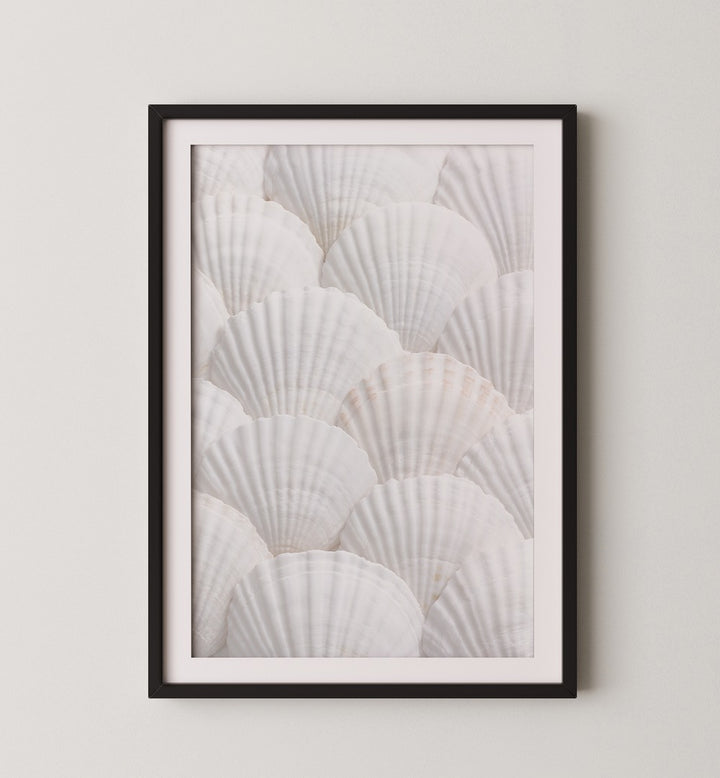 Elegant design featuring seashells, perfect for a GOLDEN HOUR GALLERY WALL, enhancing any GALLERY WALLS & SETS.