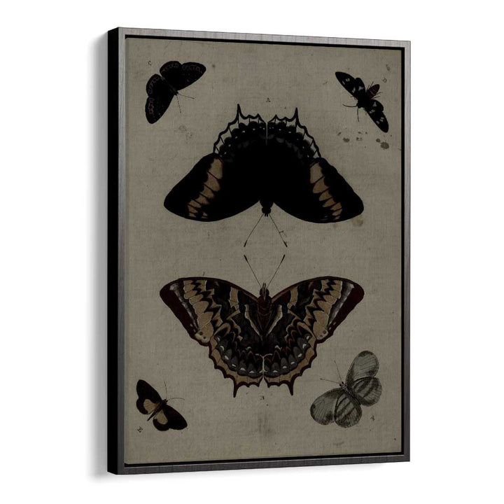 Gothic Flutter Wings Of Darkness And Intrigue Gothic Art Prints in Black Floater Frame