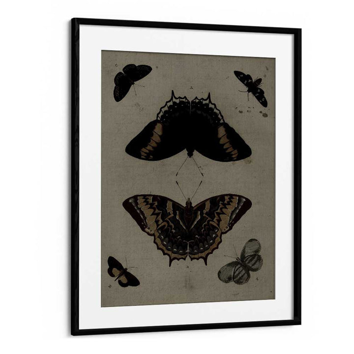 Gothic Flutter Wings Of Darkness And Intrigue Gothic Art Prints in Black Frame With Mount