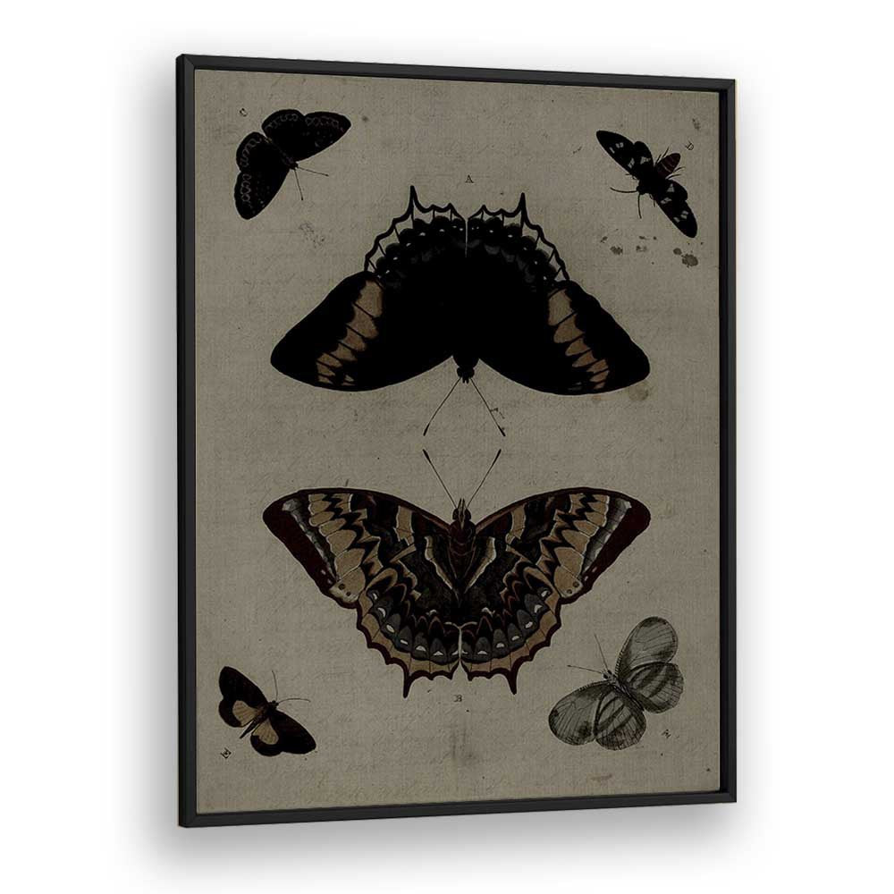 Gothic Flutter Wings Of Darkness And Intrigue Gothic Art Prints in Black Plain Frame