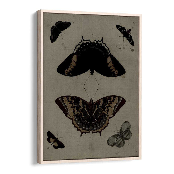 Gothic Flutter Wings Of Darkness And Intrigue Gothic Art Prints in Oak Wood Floater Frame