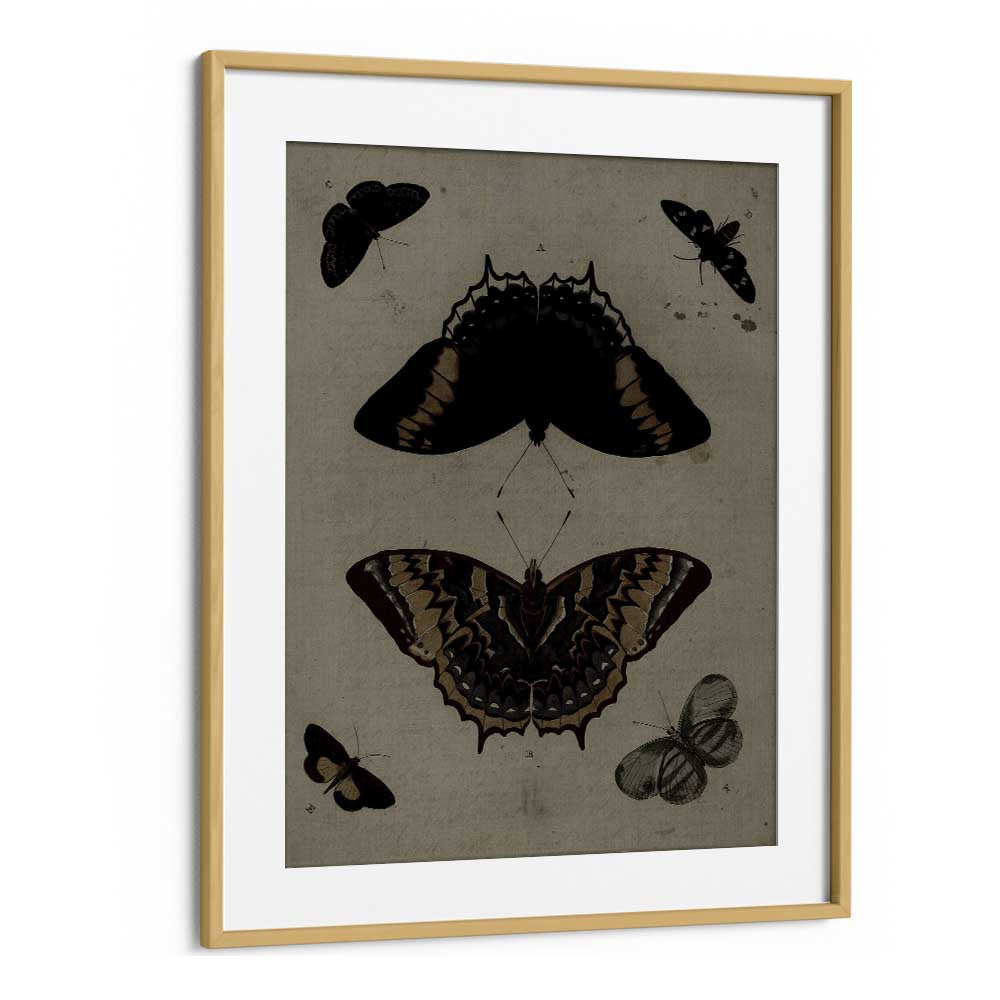 Gothic Flutter Wings Of Darkness And Intrigue Gothic Art Prints in Oak Wood Frame With Mount