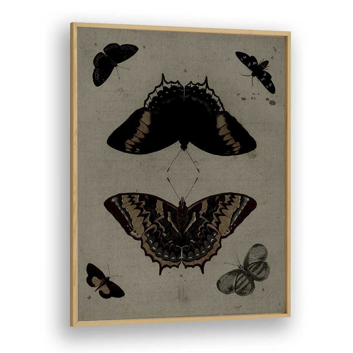 Gothic Flutter Wings Of Darkness And Intrigue Gothic Art Prints in Oak Wood Plain Frame