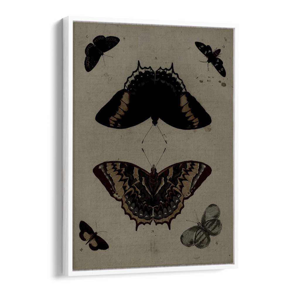 Gothic Flutter Wings Of Darkness And Intrigue Gothic Art Prints in White Floater Frame