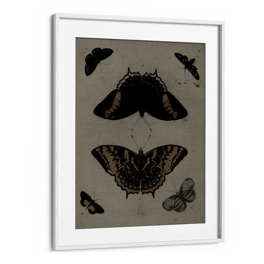 Gothic Flutter Wings Of Darkness And Intrigue Gothic Art Prints in White Frame With Mount