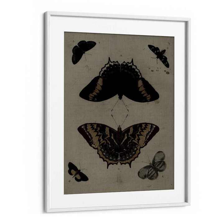 Gothic Flutter Wings Of Darkness And Intrigue Gothic Art Prints in White Frame With Mount