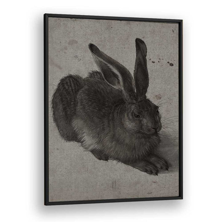 Gothic Hare Shadows In The Warren Gothic Art Prints in Black Plain Frame